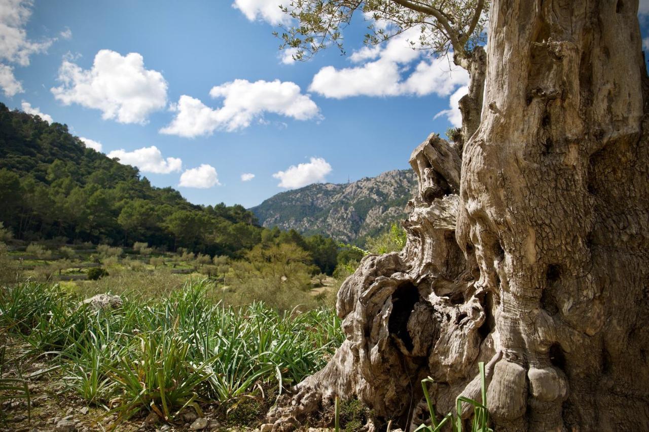 Finca Hotel Son Palou Orient Bagian luar foto