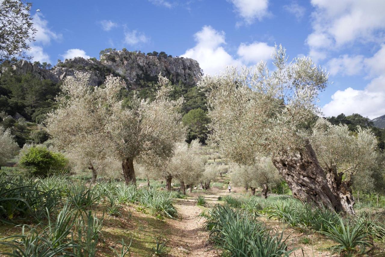 Finca Hotel Son Palou Orient Bagian luar foto