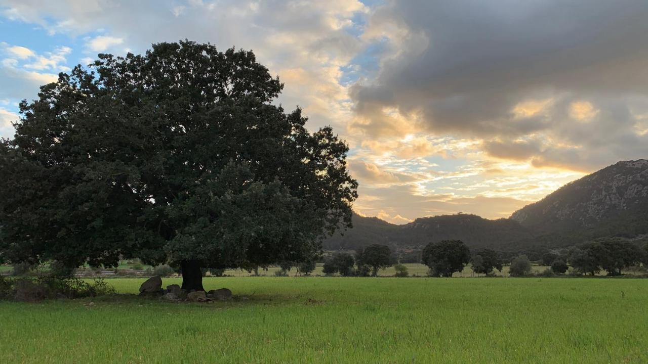 Finca Hotel Son Palou Orient Bagian luar foto